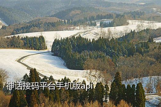 怎么让网站接验证码短信