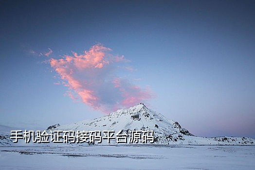 怎么接日本手机的验证码