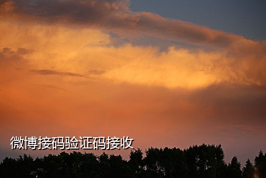 怎么接哔哩哔哩邀请码任务