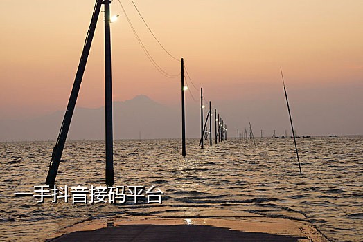 在线免费接码短信平台