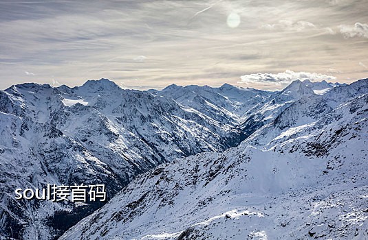 美国手机号接码怎么弄教程