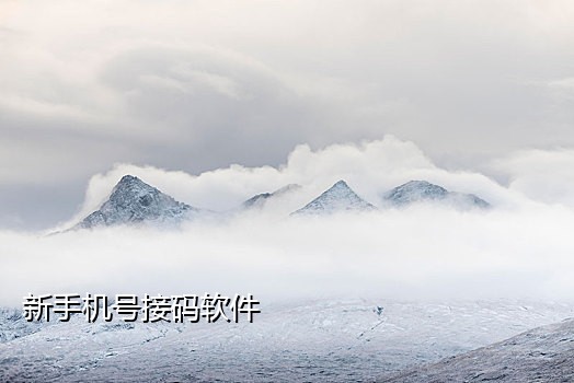 在线短信接码中国