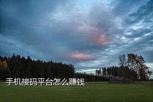 在线短信接码平台app下载