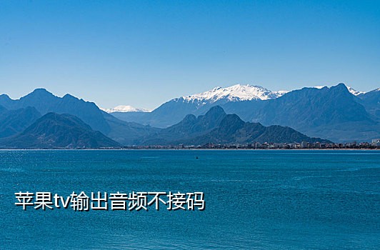 有手机号怎么接验证码电话