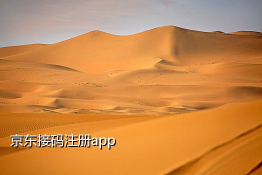 美国快手接码号如何登