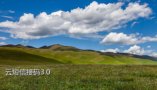 移动手机号接码软件有哪些