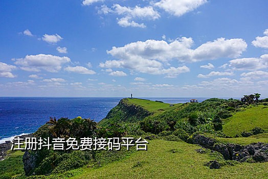 椰子云接码短信