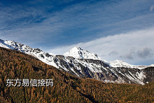 亚马逊接不到手机验证码