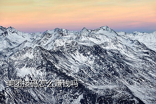 小鸟接码软件推荐知乎下载