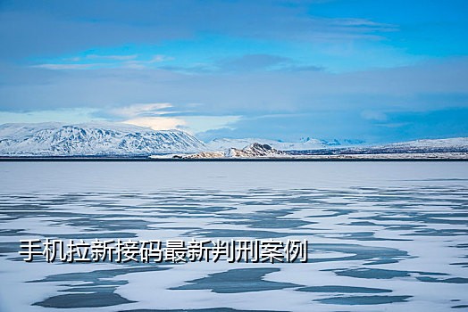 小红书虚拟号接码网站