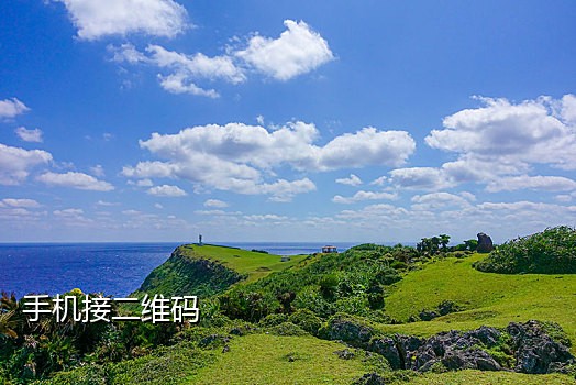 线上手机接码
