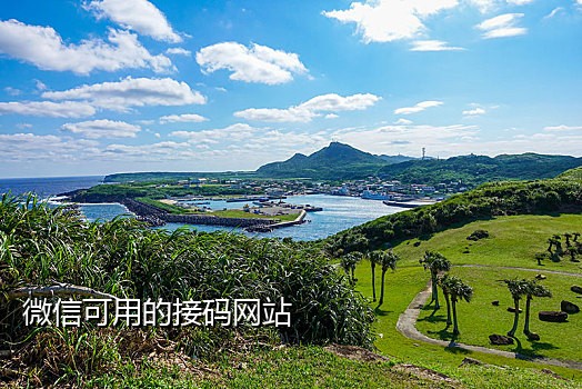 闲鱼注册接码平台