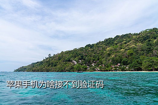 为什么手机接不到码