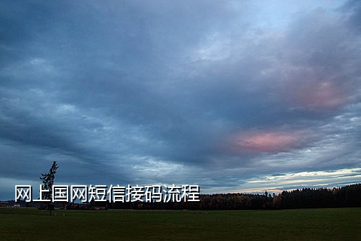 微信美国接码购买平台