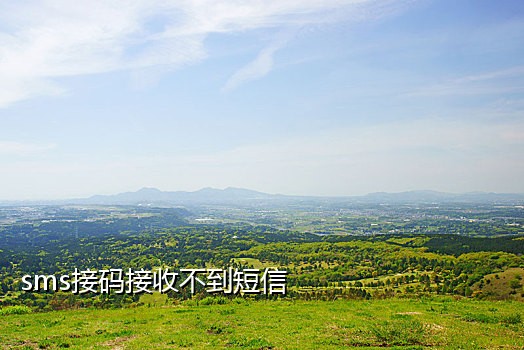 芒果接码官网苹果
