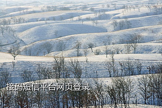 微视实名接码脚本