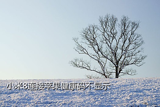 淘特接码拉新推广服务商