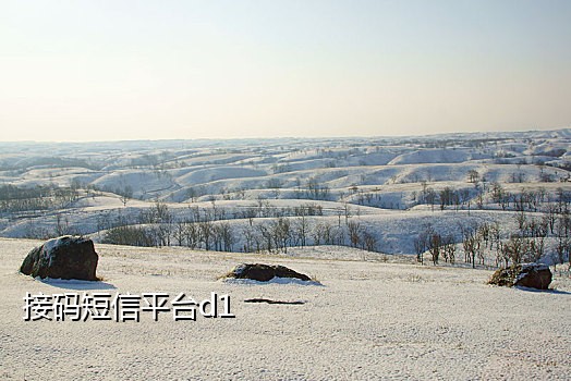 淘宝注册接码平台软件