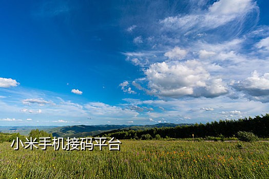 流星接码手机版怎么弄