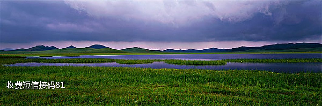 淘宝卡商接码平台是什么