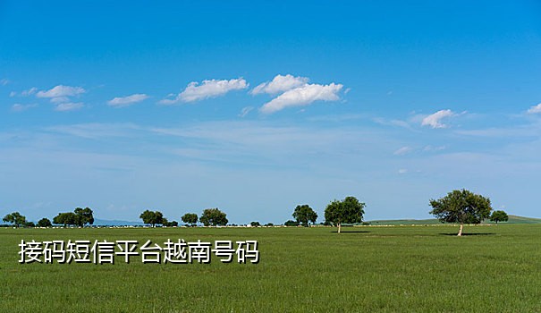 台湾短信接码软件下载