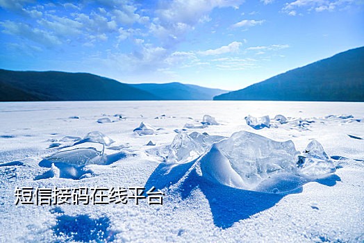 手机网页接码平台