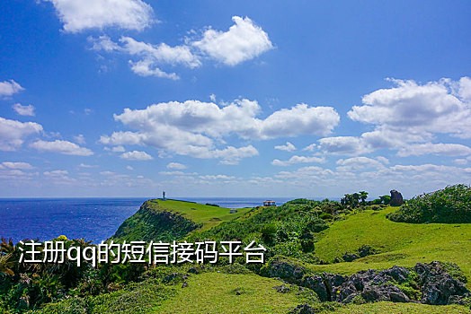 手机免费接验证码平台