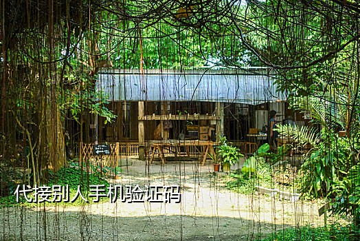 莲藕漂流瓶接码