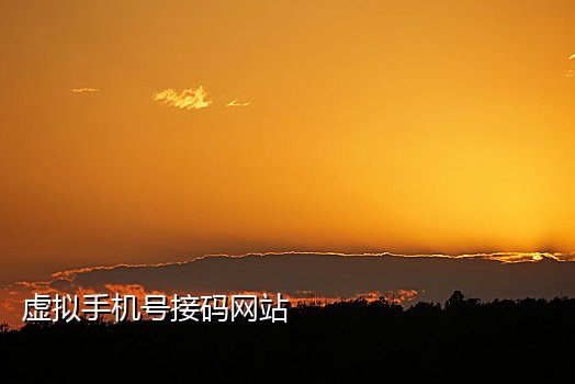 手机接码平台怎么开一个