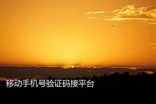 手机接不到验证码信号差