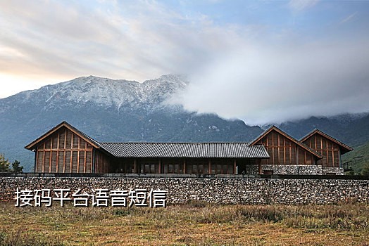 手机接不到抖音验证码电话