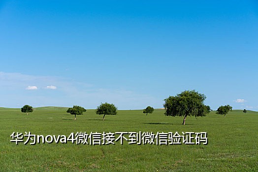 手机号免费接码平台