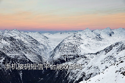 手机号码被别人接码