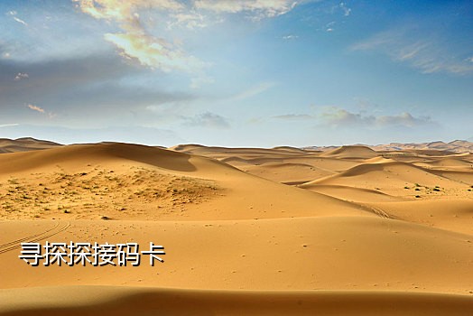 手机号接码验证码平台