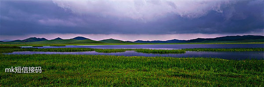 蓝狐接码短信验证码平台