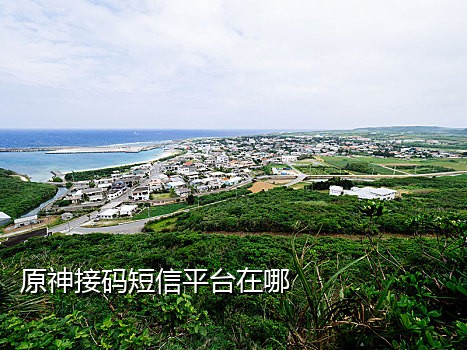 神话接码平台手机版下载