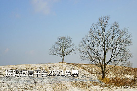 什么手机可以接验证码