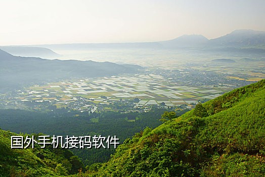 拼多多接入码 接口密码