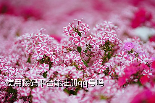 拼多多接码研发中心是真的吗