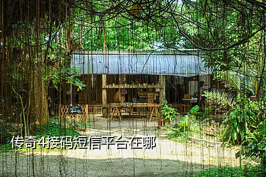 拼多多接码平台