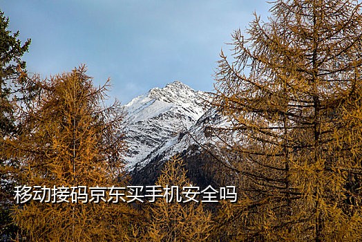 能发短信的接码软件是什么