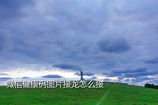 陌陌注册接码手机版