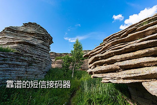 陌陌注册接码平台靠谱