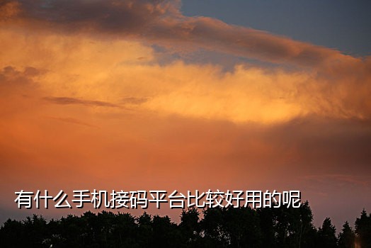 免费手机验证码接码