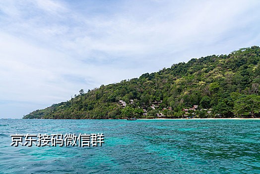 免费手机号接码