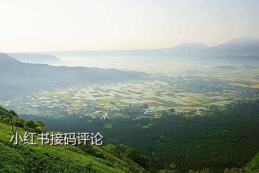 免费接码平台手机
