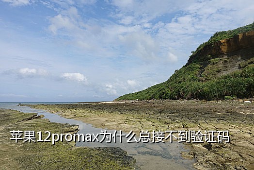 美团外卖新客户 接码