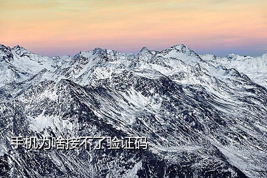 快手号实卡号接码