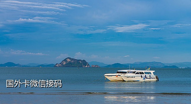 美国号绑定抖音接码平台