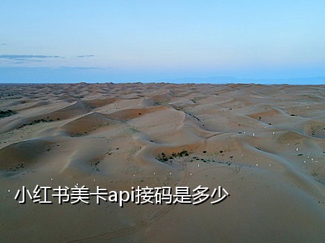 美版苹果x接不到移动验证码